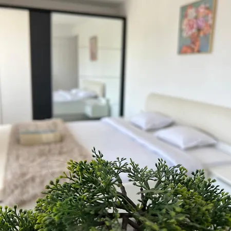 Bodega I Daire Filibe