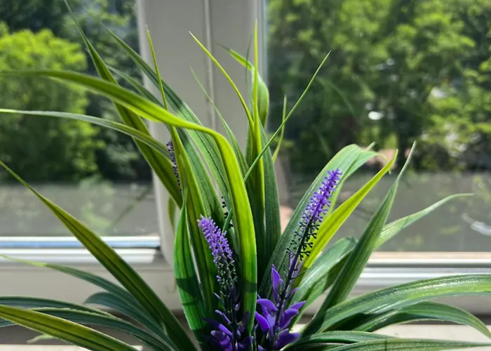 Апартамент Bodega I *